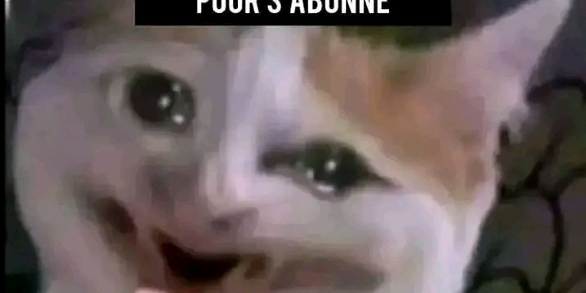 LES AVENTURES DE DJAM'S
